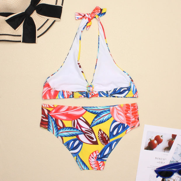 Printed Two Piece Bikini Sexy Low Waist Swimsuit
